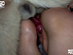 Female Dog Dildo Porn