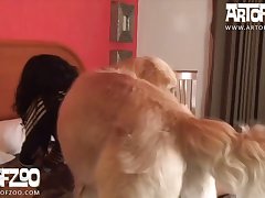 Dog Fuck Girls