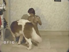 Long Horse Porn