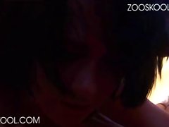 Zoo Cat Porn