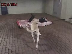 Puppy Dog Porn