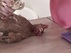 Jav Zoo Porn