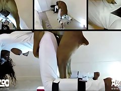 Animal Sex With Girls