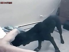 Ellie Porn Horse