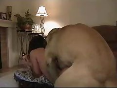 Man Sucking Horse Cock Porn