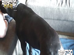 Animal With Lowest Sex Drive