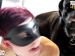 Porno Zoofilia Casero Real