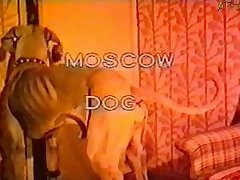 Dog Licking Pee Porn