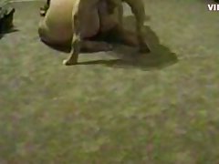 Zoofilia 2022 Videos