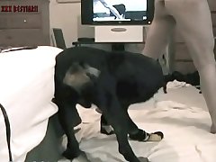 Mature Porno Zoofilia