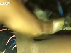 Pornhub.com Animal Sex