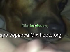 Veronika Dog Porn