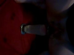 Animal Movie Sex Scenes Ranbir