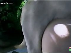 Zoofilia Extrema 2022