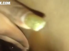 Zoofilia Gozando Na Galinha