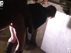 Dalmation Dog Porn