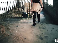 Blow Job Dog Porn