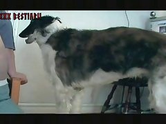 Art Of Zoo New Porn