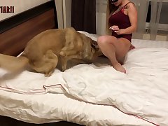 Porn Dog Hd