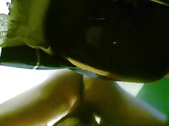 Horse Fucking A Dog Porn