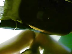 Horse Fucking A Dog Porn