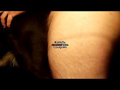 Taboo Animal Sex Stories