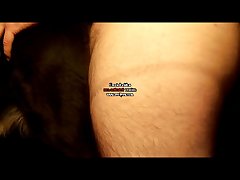 Taboo Animal Sex Stories