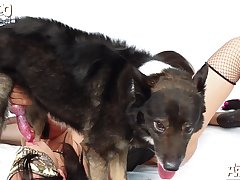 Animal Girl Anime Sex