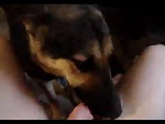 Guy Gets Fucked By Horse Porn