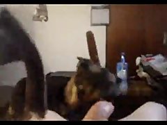 Guy Gets Fucked By Horse Porn