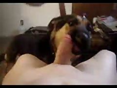 Guy Gets Fucked By Horse Porn