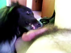 Porno Zoofilia Trio
