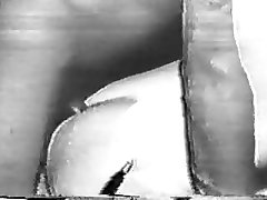 Horse Fucking Me Porn