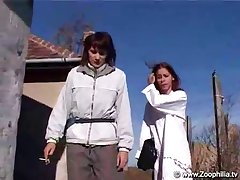 Porn Gif Horse