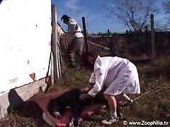 Porn Gif Horse