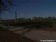Porn Gif Horse