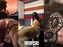 Gay Black Zoo Porn