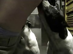 Pregnant Woman And Dog Porn