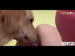 Animal Indian Movie Sex Scenes