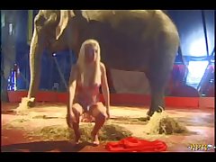 Animal Doggy Sex