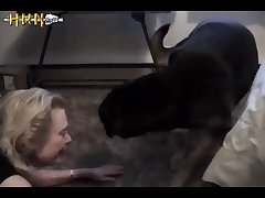 Which Animal Changes Its Sex