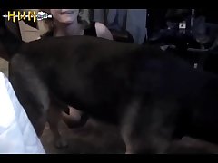 Which Animal Changes Its Sex