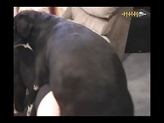 Animal Sex God