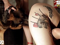 Zoo Porn Porn