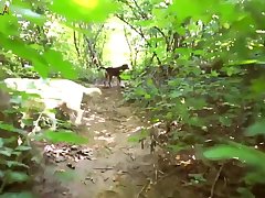 Dog A Girl Porn