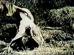 Dog Fart Porn Full Videos