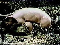 Dog Fart Porn Full Videos