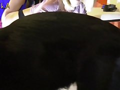 Zoofilia Real Porn