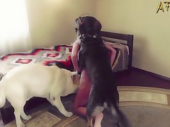 Guy Licking Dog Porn