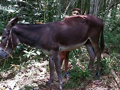 Animal Sex Tube Porn